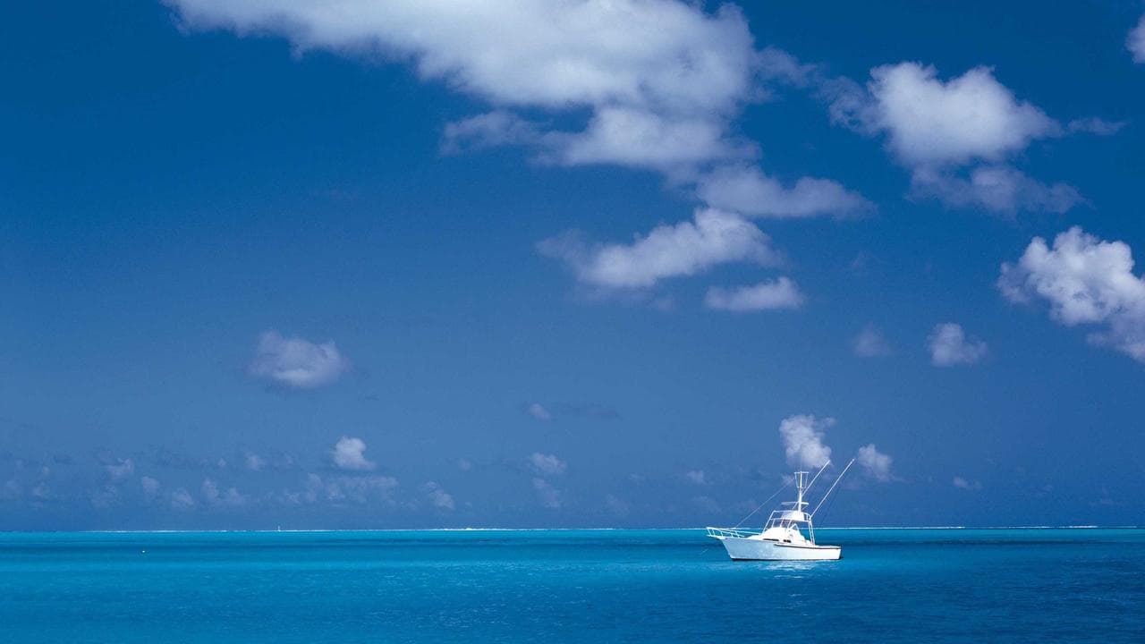 Neon Legacy - Episode 2: Echo Market